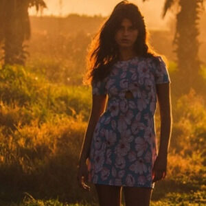 Zara Blue and Pink Floral Mini Dress